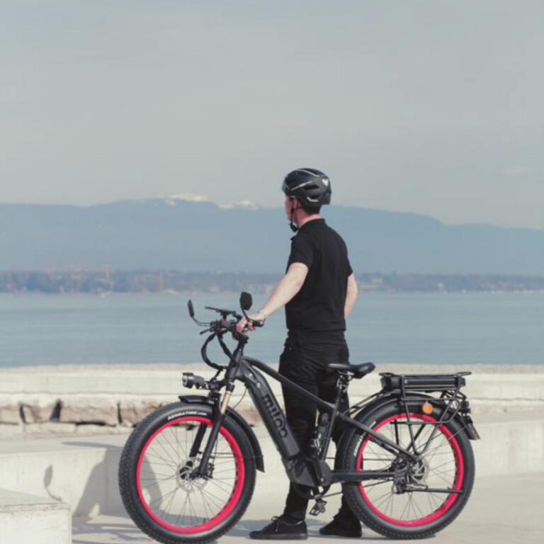 Electric bikes made for Switzerland